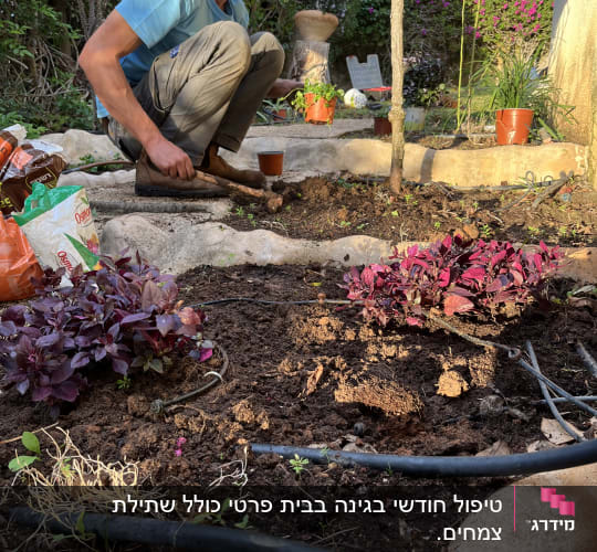 אדם כורע בגינה עם כלי עבודה וצמחים בעציצים